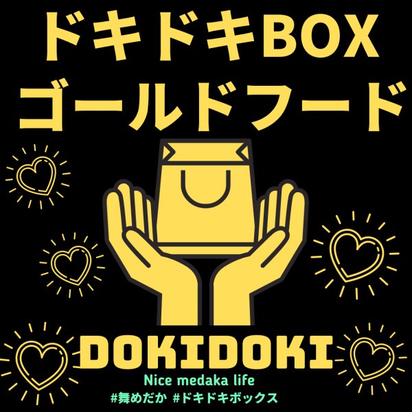 画像1: 【ドキドキBOX】ゴールドフード 100g (1)
