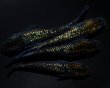 画像1: 【現物個体】フォージド　雄1.雌3　 (1)