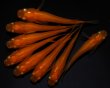 画像1: 【現物個体】大和紅帝 雄2.雌8　B35 (1)