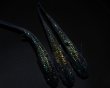 画像5: 【現物個体】鬼ラメ 雄1.雌2　A57 (5)