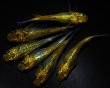 画像2: 【現物個体】一騎当千 3ペア　B25 (2)