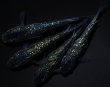 画像2: 【現物個体】フォージド 強青ラメタイプ 2ペア　B7 (2)