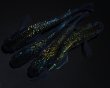 画像3: 【現物個体】フォージド 強青ラメ 極上 雄1.雌3　B3 (3)