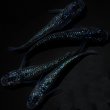 画像2: 【現物個体】孔雀青 背ビレ無し 上物若魚2ペア　A13 (2)