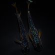 画像1: 【現物個体】グラデーションラメ 1ペア　A42 (1)
