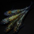 画像1: 【現物個体】鬼ラメPT3 雄1.雌3　A17 (1)