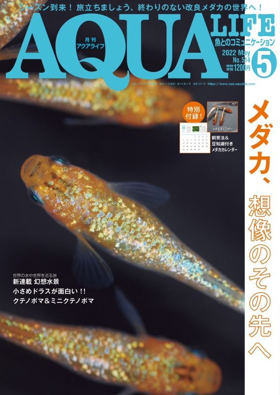 アクアライフ 5月号 (発売日2022年04月11日)※送料無料※ステッカー付き！ - 舞めだかWebショップ